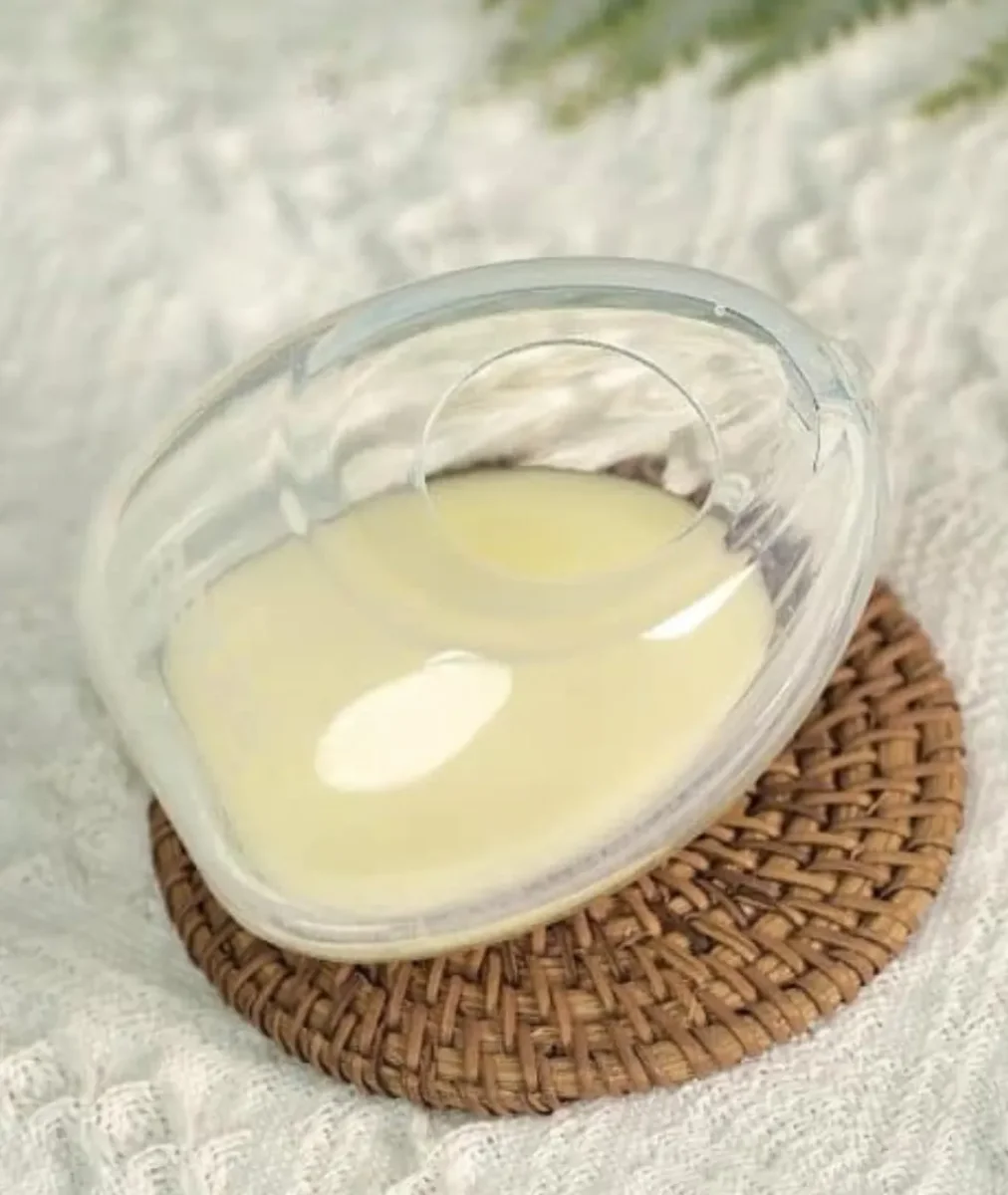 Recueil-Lait Haakaa Coquillage 75ml – Image 4