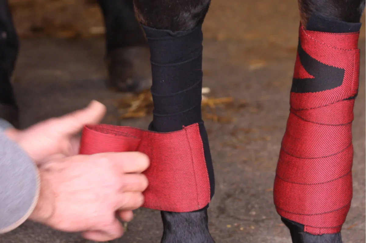 Bandes de travail INFI-KNIT Rouge et Noir – Image 4